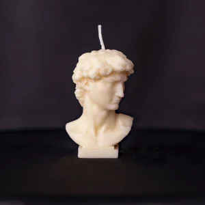 David Mini